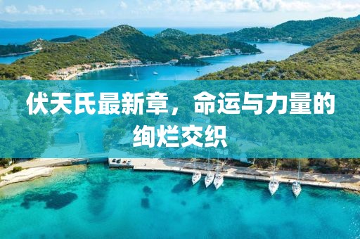 2025年2月 第425頁