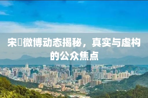 宋喆微博動態(tài)揭秘，真實與虛構(gòu)的公眾焦點