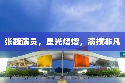 張魏演員，星光熠熠，演技非凡