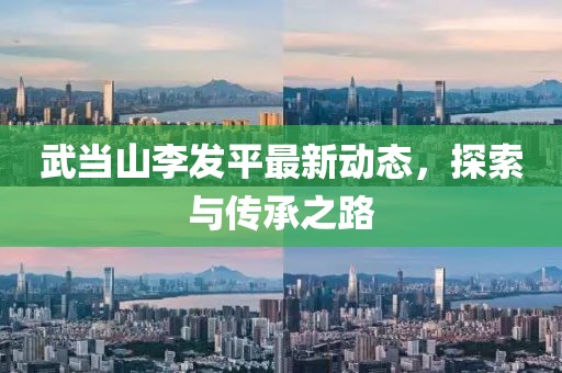 武當山李發(fā)平最新動態(tài)，探索與傳承之路