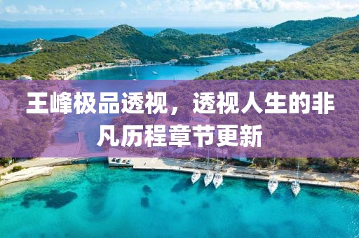 王峰極品透視，透視人生的非凡歷程章節(jié)更新