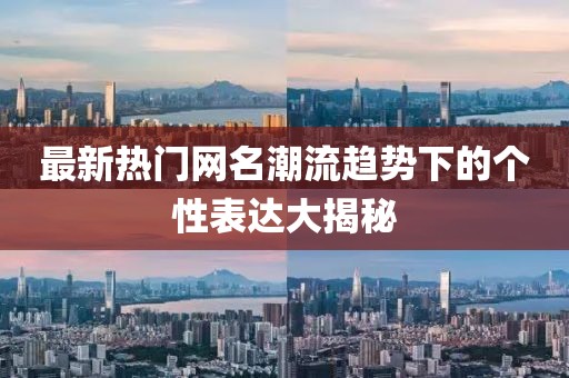 最新熱門網(wǎng)名潮流趨勢下的個性表達(dá)大揭秘