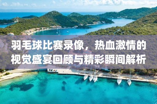 羽毛球比賽錄像，熱血激情的視覺盛宴回顧與精彩瞬間解析