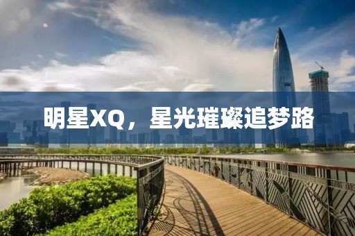 明星XQ，星光璀璨追夢路