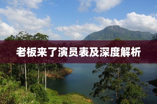 老板來了演員表及深度解析