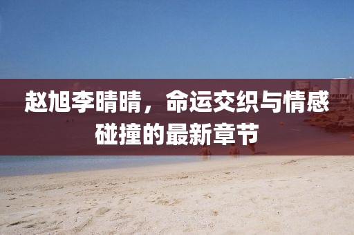 趙旭李晴晴，命運(yùn)交織與情感碰撞的最新章節(jié)
