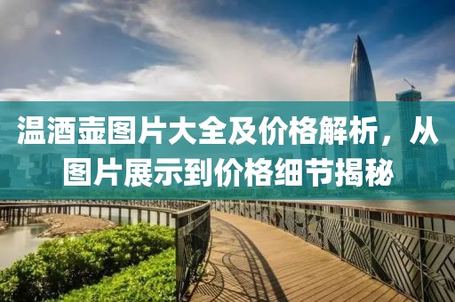 溫酒壺圖片大全及價格解析，從圖片展示到價格細節(jié)揭秘