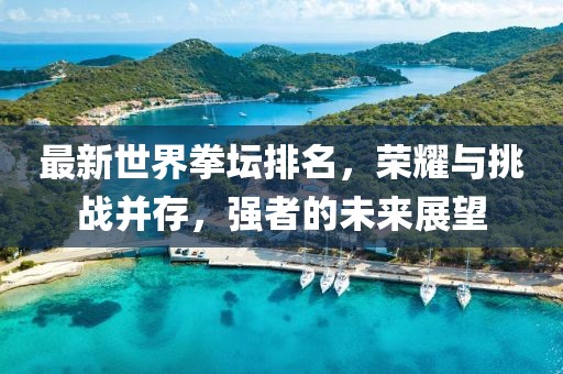最新世界拳壇排名，榮耀與挑戰(zhàn)并存，強者的未來展望