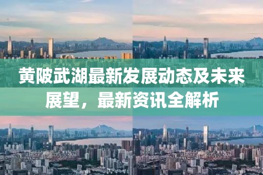 黃陂武湖最新發(fā)展動(dòng)態(tài)及未來展望，最新資訊全解析
