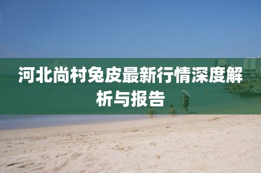 河北尚村兔皮最新行情深度解析與報告
