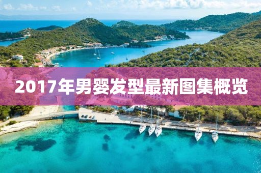 2017年男嬰發(fā)型最新圖集概覽