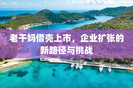 老干媽借殼上市，企業(yè)擴(kuò)張的新路徑與挑戰(zhàn)