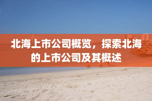 北海上市公司概覽，探索北海的上市公司及其概述