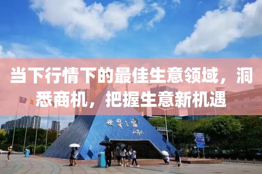 當下行情下的最佳生意領(lǐng)域，洞悉商機，把握生意新機遇