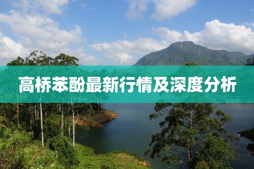 高橋苯酚最新行情及深度分析