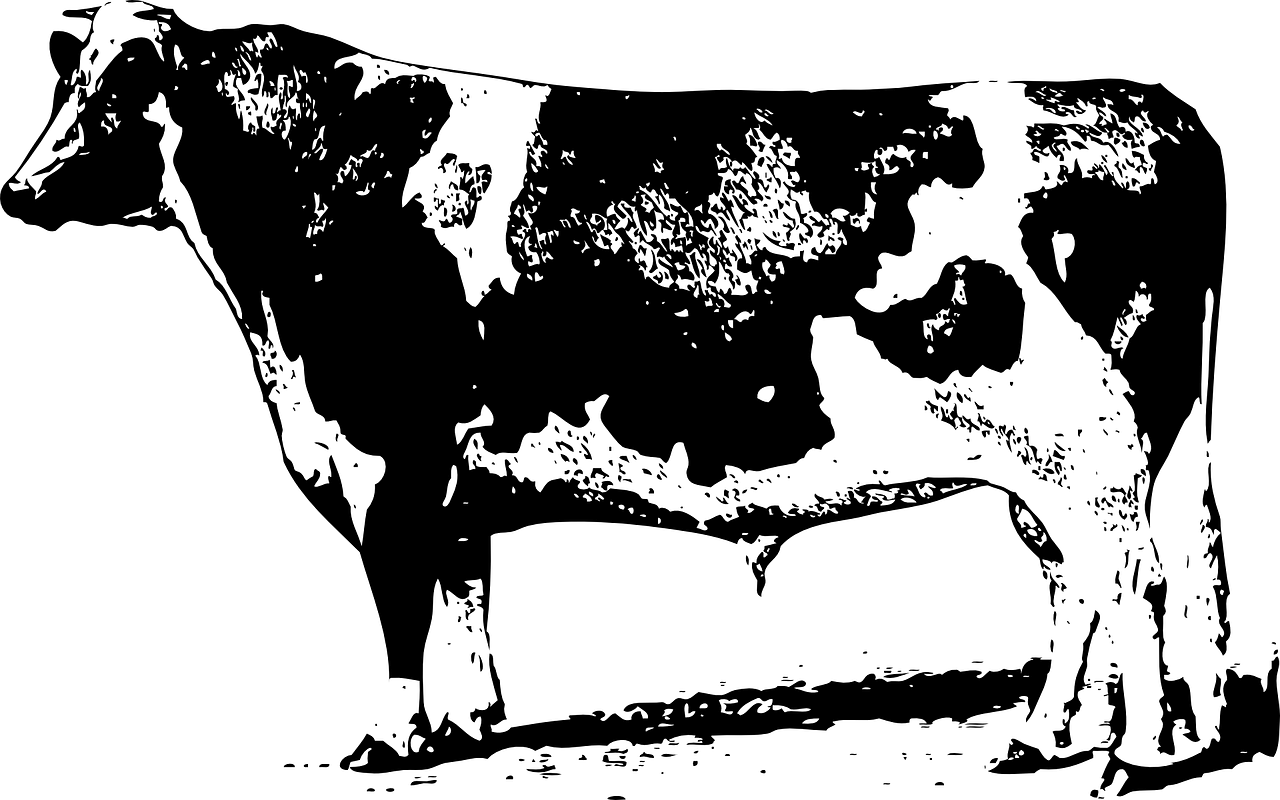 中合三農(nóng)集團(tuán)引領(lǐng)農(nóng)業(yè)產(chǎn)業(yè)變革，共創(chuàng)鄉(xiāng)村振興新篇章的最新動(dòng)態(tài),或者中合三農(nóng)集團(tuán)，鄉(xiāng)村振興的先鋒，最新動(dòng)態(tài)引領(lǐng)農(nóng)業(yè)創(chuàng)新