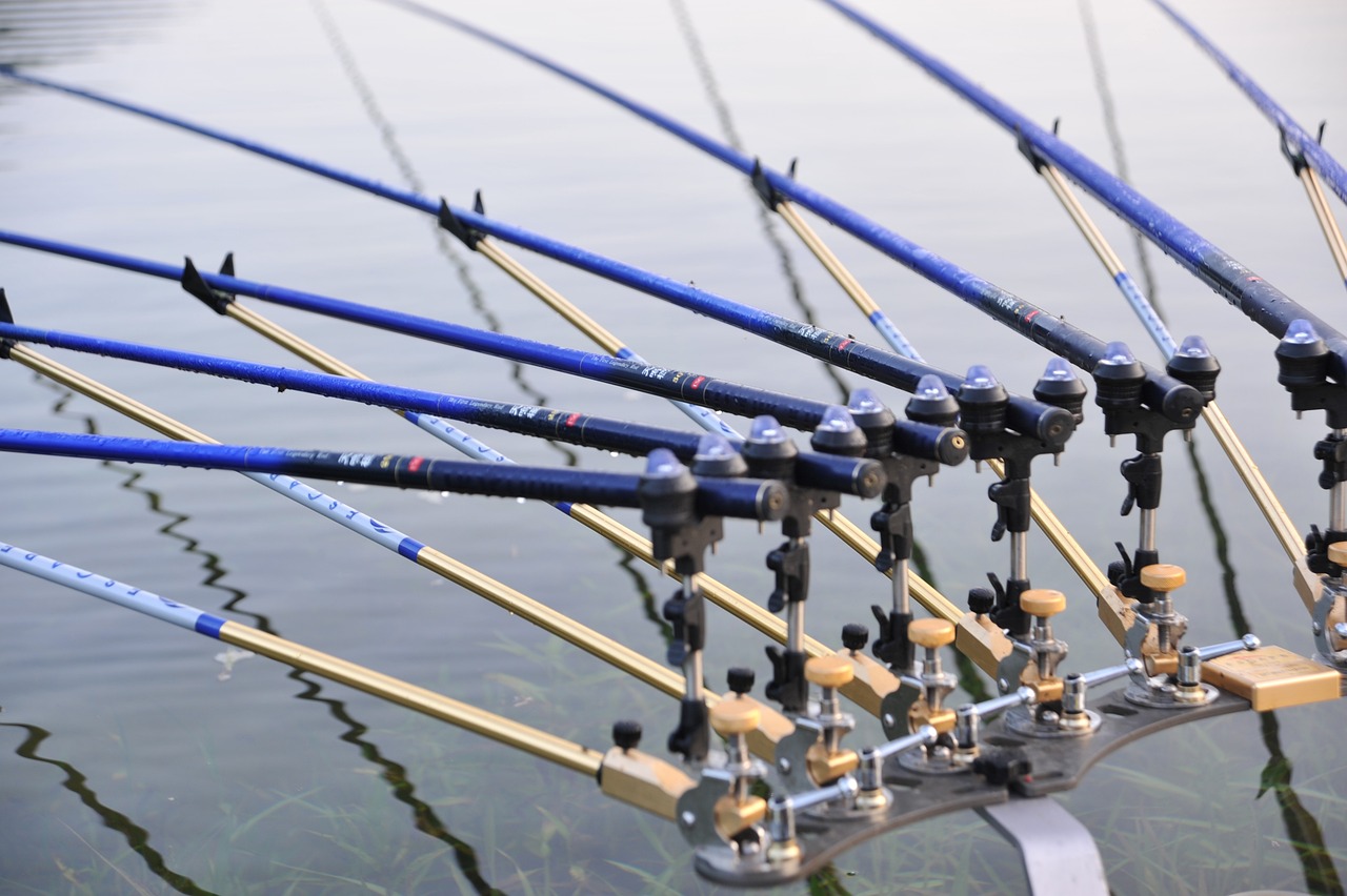 魚桿魚具價格全面解析，深度了解市場行情與購買指南