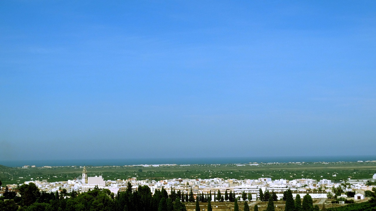 檳榔價(jià)格行情深度分析，市場(chǎng)動(dòng)態(tài)與趨勢(shì)預(yù)測(cè)