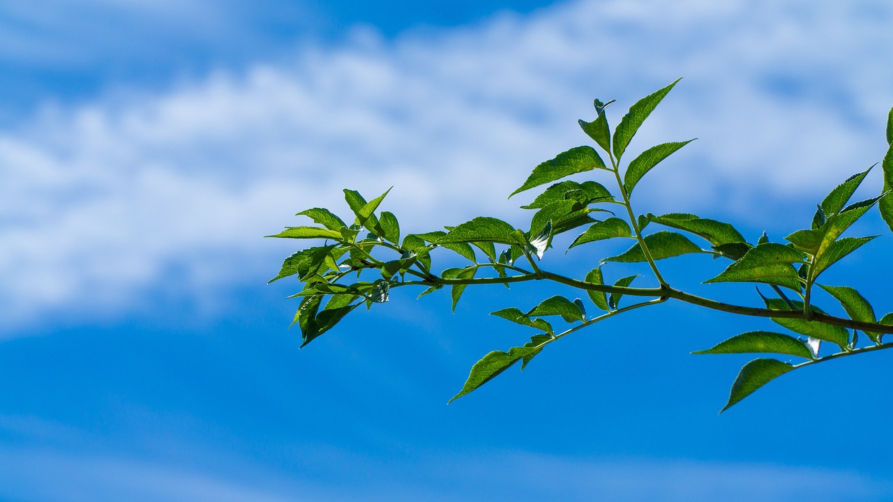 大悟疫情最新動態(tài)，堅定信心，科學防控，共筑健康防線