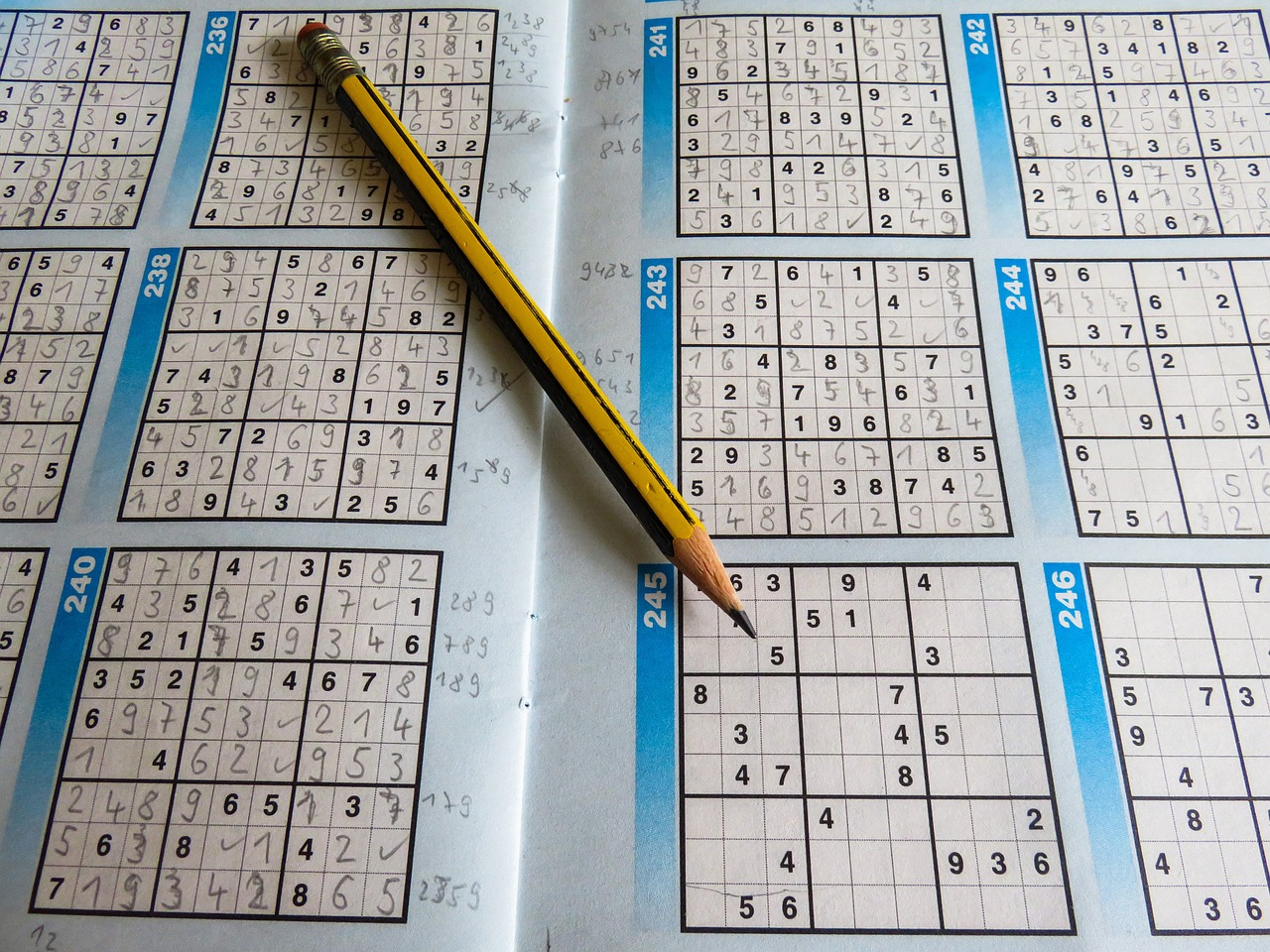 全國中小學(xué)數(shù)獨比賽，智慧挑戰(zhàn)，風(fēng)采展現(xiàn)