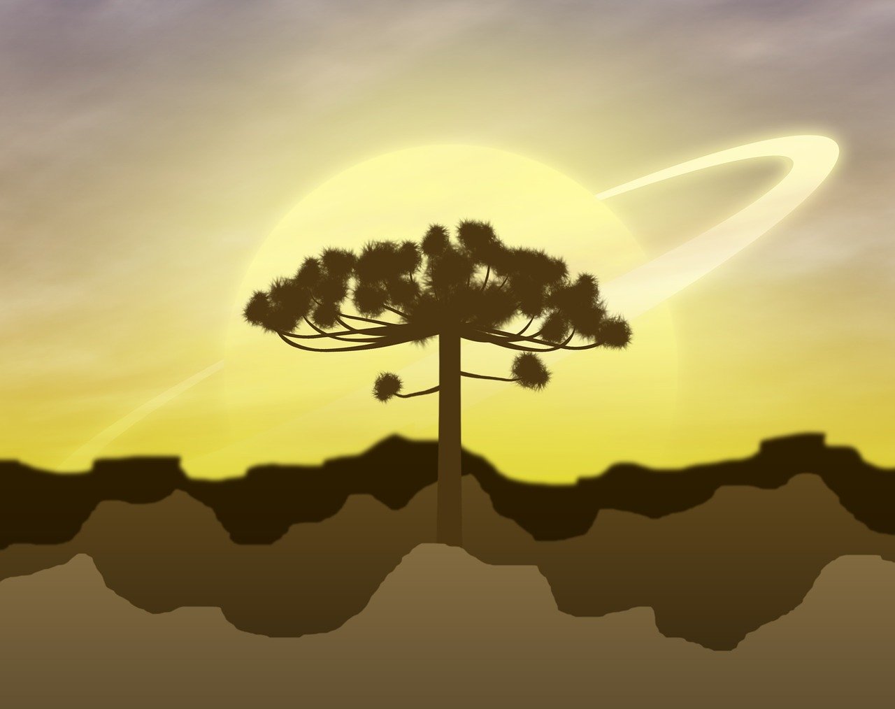 白熊動漫，奇幻之旅，探索魅力世界的無限魅力