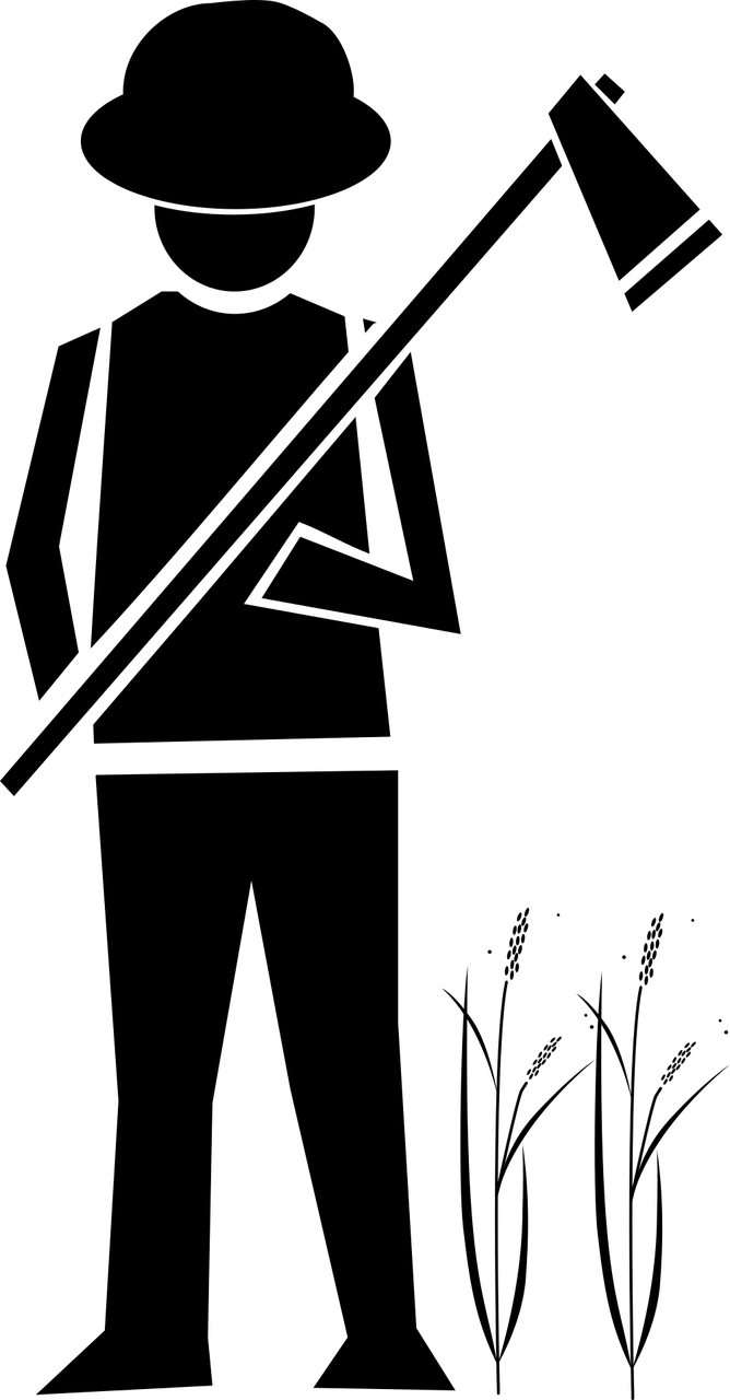 農(nóng)業(yè)科技崛起與未來(lái)展望，超級(jí)農(nóng)民的最新章節(jié)展望