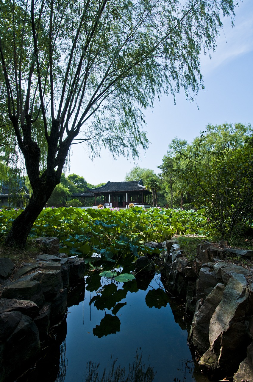 蘇州最新動態(tài)，城市繁榮與未來脈動展望