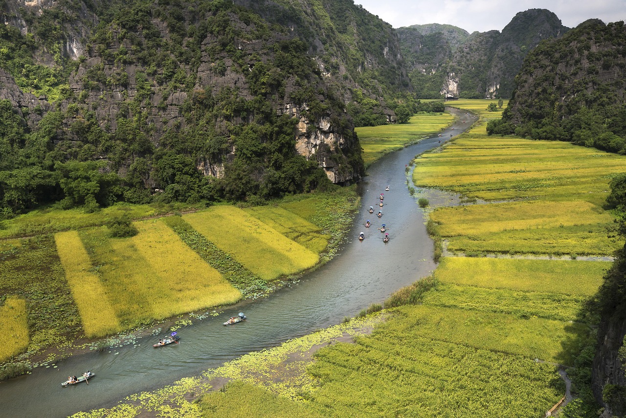 廣西來(lái)賓忻城縣域發(fā)展新動(dòng)態(tài)，民生新篇章，最新新聞報(bào)道