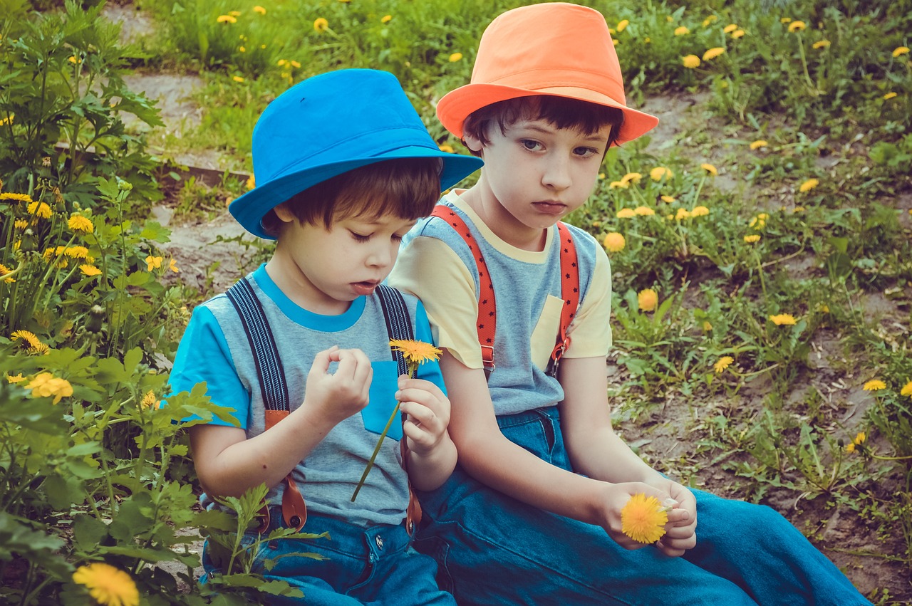 幼兒朗誦比賽，播種夢(mèng)想，見證成長(zhǎng)之路