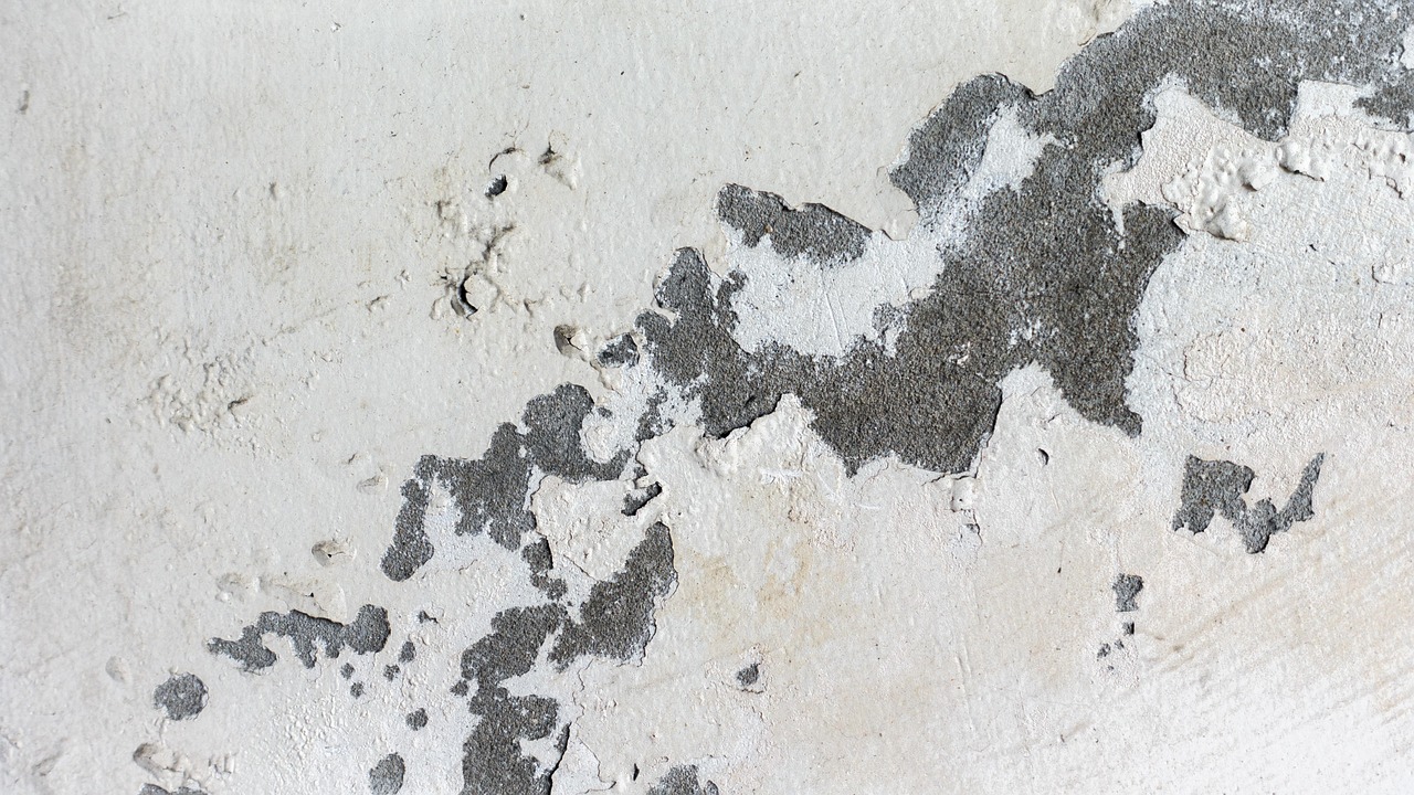 九州安置區(qū)持續(xù)推動建設(shè)與發(fā)展，最新動態(tài)與進(jìn)展報(bào)告