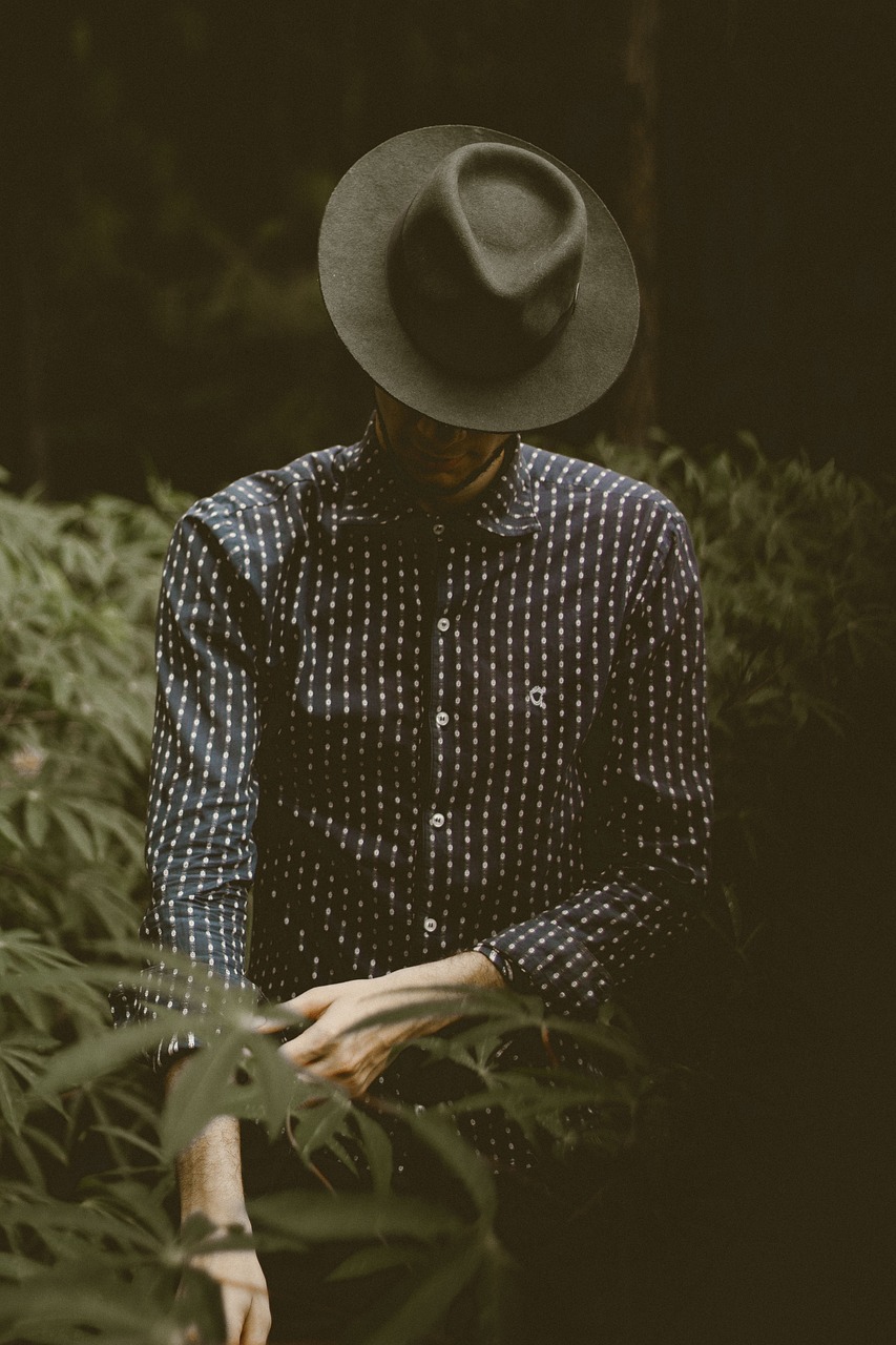 發(fā)福男明星的挑戰(zhàn)與重塑，形象重塑之路的探討