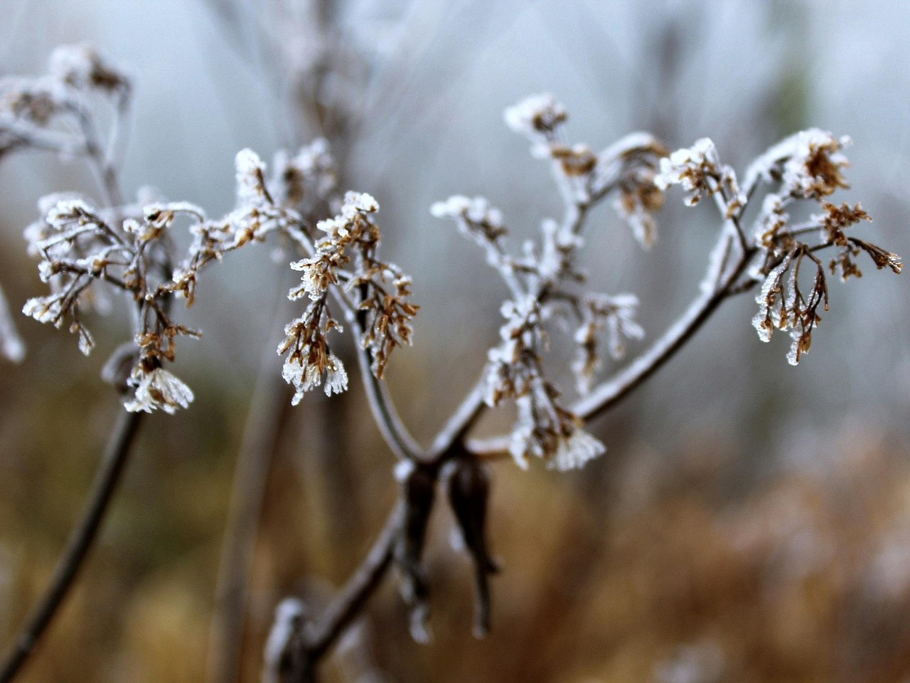 大雪冬至電影，溫情與深意的冬日篇章