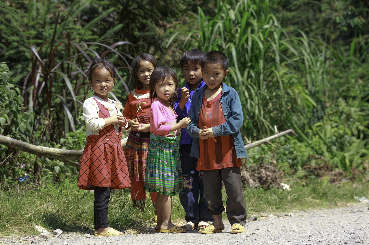 老農(nóng)民電視劇全集，農(nóng)村生活的真實(shí)寫照（免費(fèi)播放60集高清版）