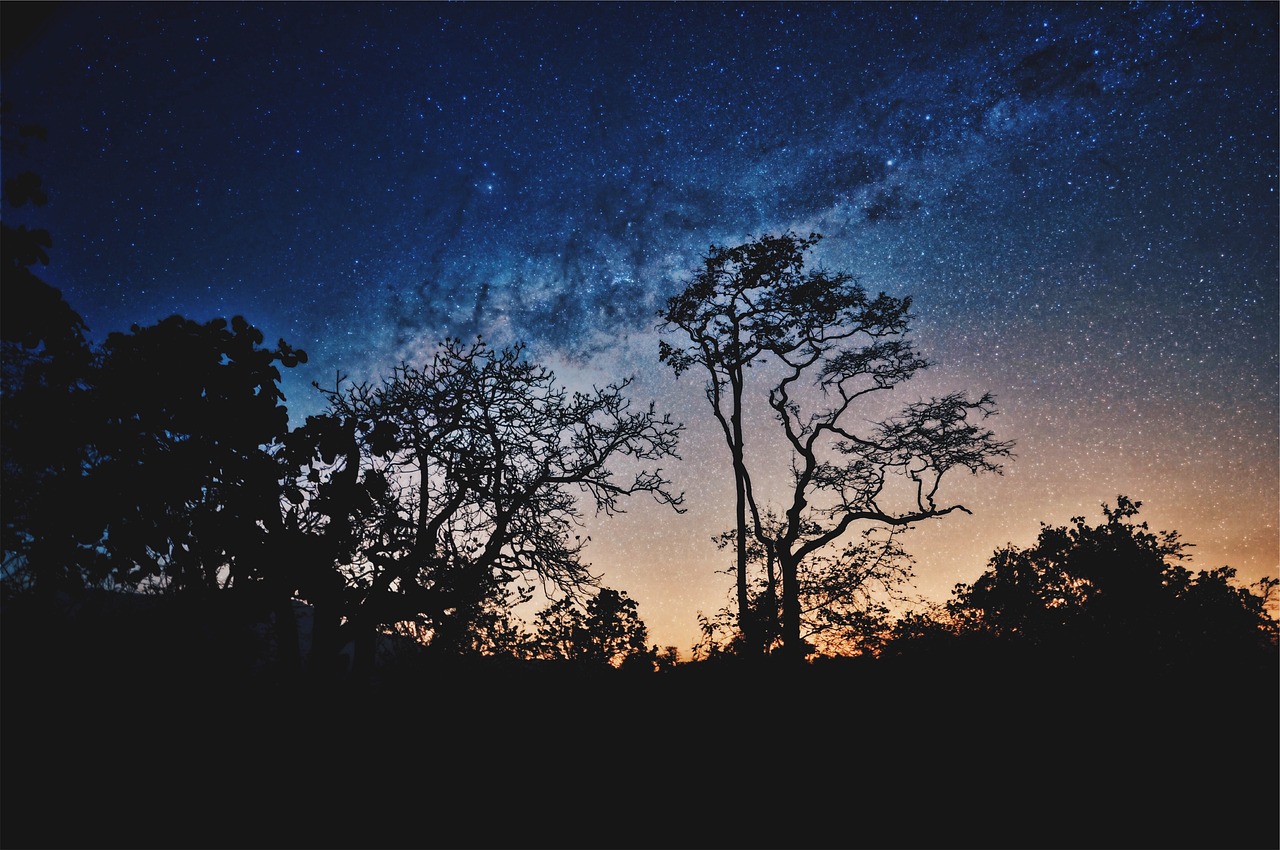 網(wǎng)劇女明星，熒屏與現(xiàn)實(shí)中的璀璨之星之路