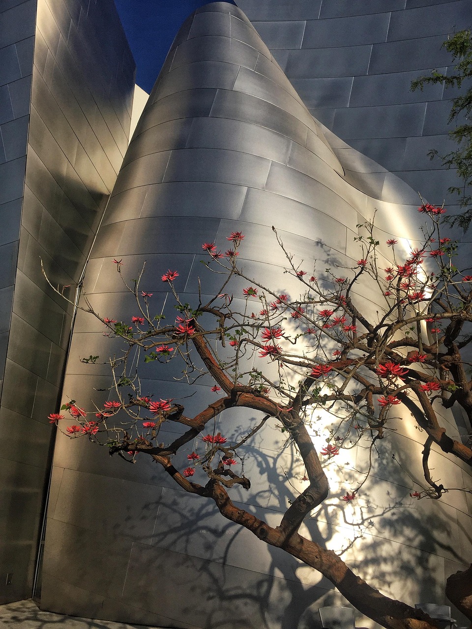 楊金柱最新動(dòng)態(tài)，新旅程啟程，未來展望揭曉