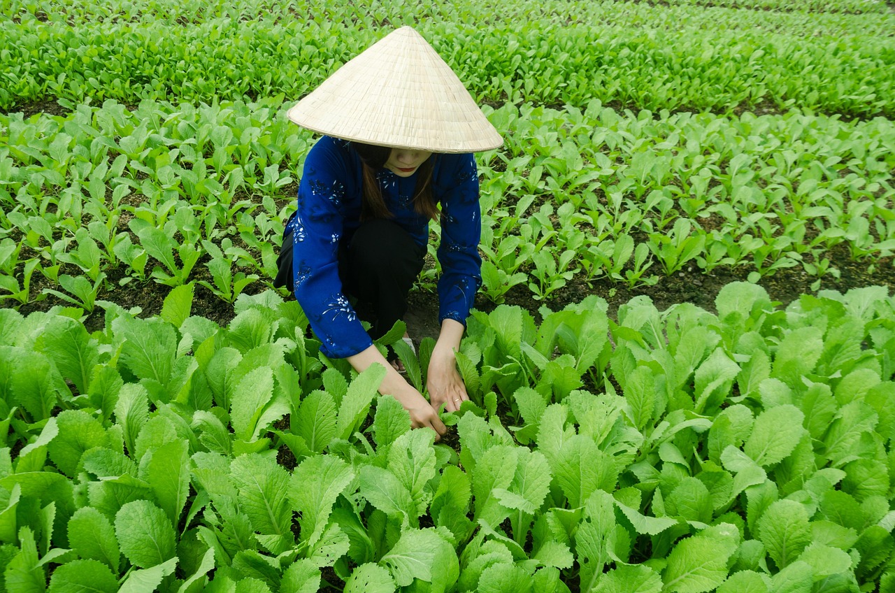 金聯(lián)儲最新消息解讀，發(fā)展動態(tài)、行業(yè)展望一網(wǎng)打盡