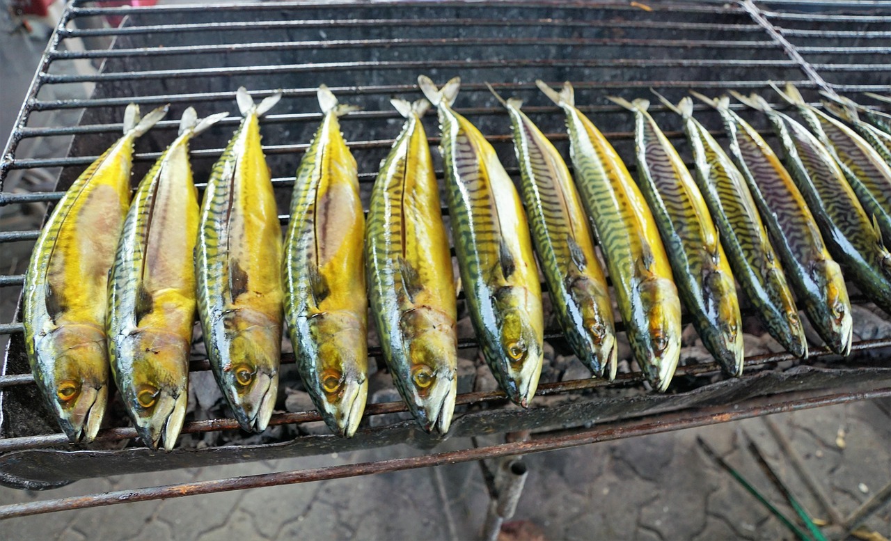 漯河雙匯最新動態(tài)，先鋒力量引領食品行業(yè)創(chuàng)新發(fā)展