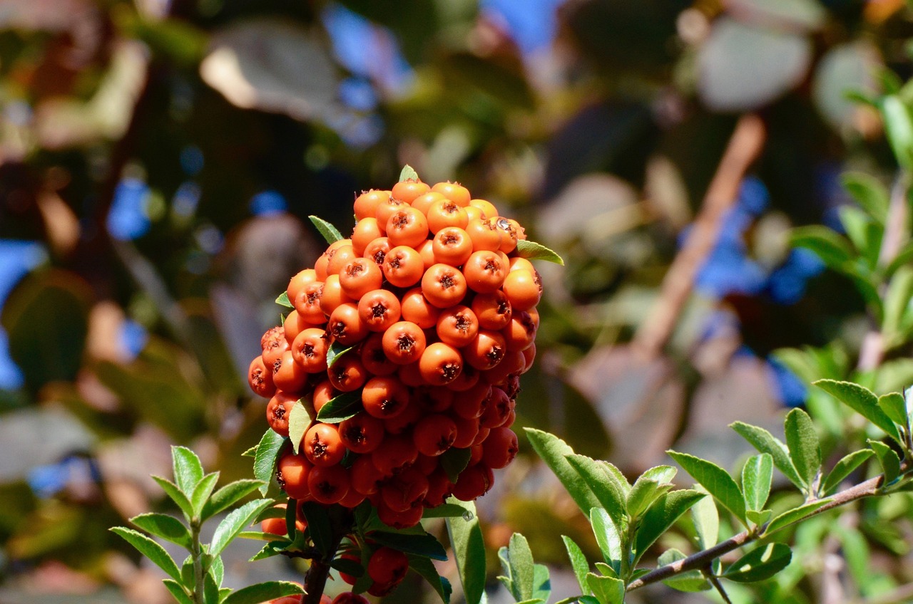 綠豆紅豆，人性掙扎與成長的深刻展現(xiàn)