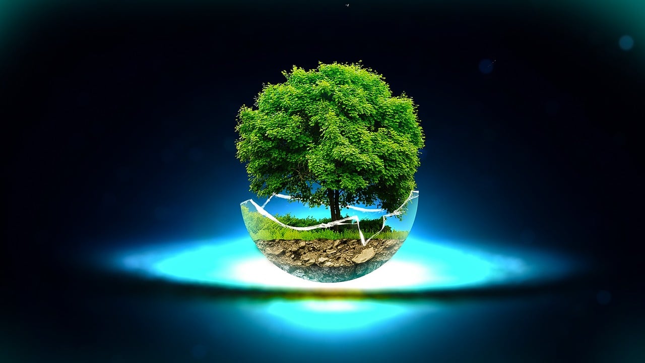 深圳啟明星，璀璨之星照亮未來(lái)之路